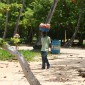 DominicanRepublic 699