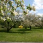 misc may 065